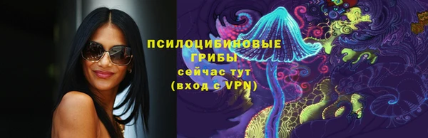 Альфа ПВП Кукмор