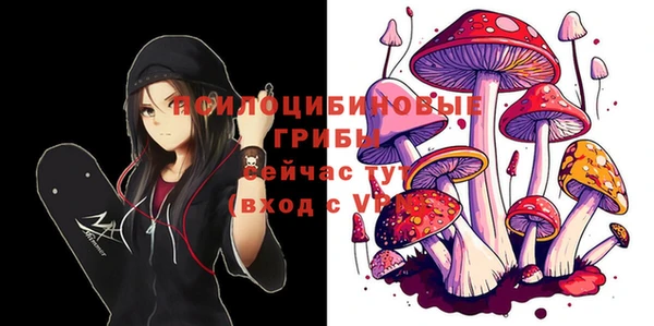 бутират Краснослободск