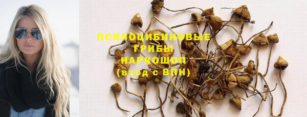 бутират Краснослободск